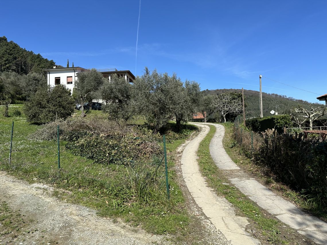 Villa Caterina | Bocca di Magra / Fiumaretta / Montemarcello/Marinella - Case e ville - Bocca di Magra / Fiumaretta / Marinella / Montemarcello