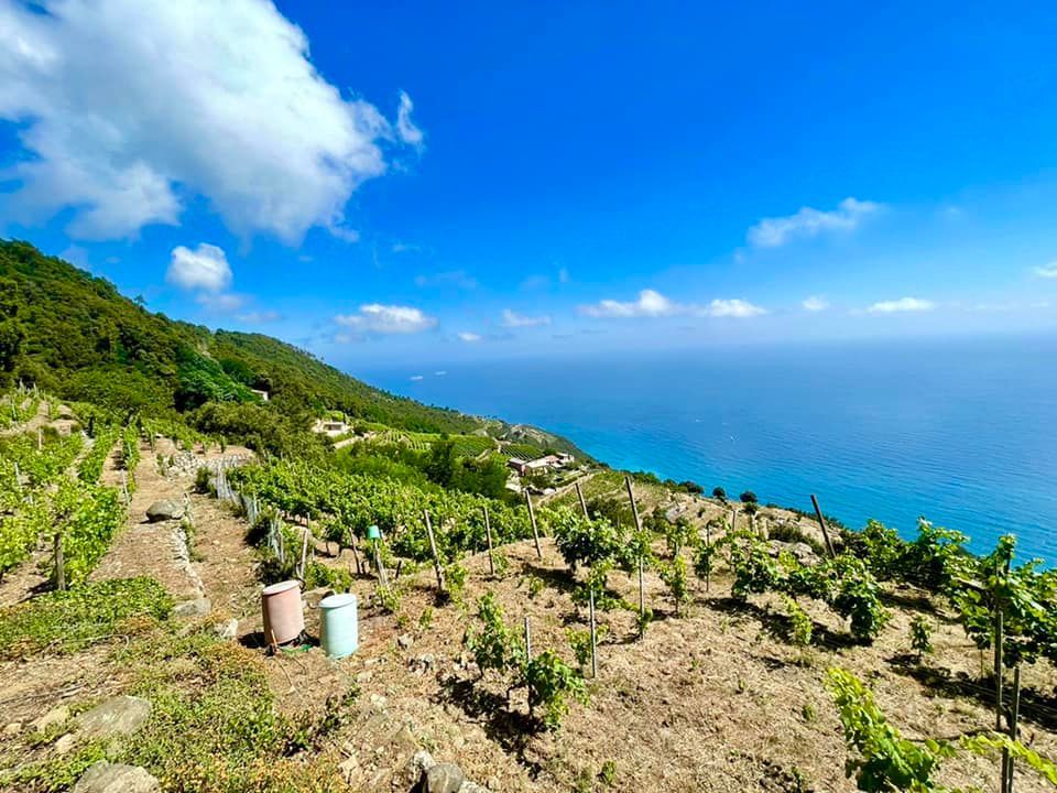 Antico Rustico Lemmen | Riomaggiore & Manarola - Casali & Rustici - 5 Terre