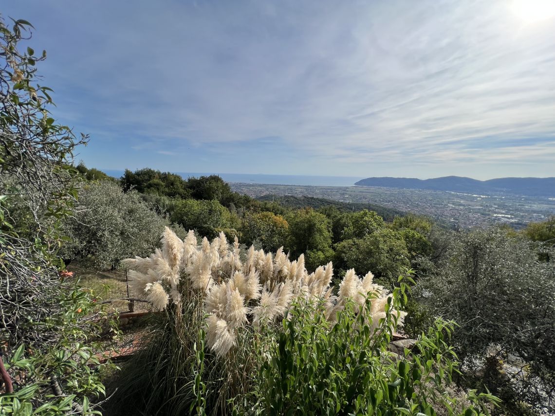 Villa Laura | Sarzana & Castelnuovo Magra - Case e ville - Lunigiana mare, Sarzana & Colline del Sole