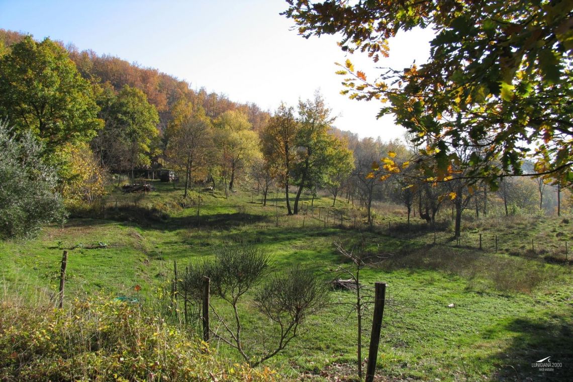 L' Antica Tenuta degli Abati | Lunigiana Mare - Case e ville - Lunigiana mare, Sarzana & Colline del Sole