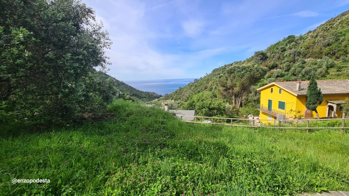 Tenuta Campo di Vernazza | Vernazza & Corniglia - Case e ville - 5 Terre