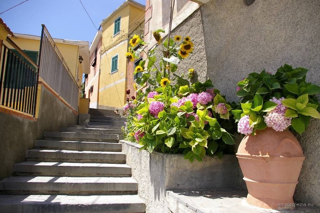 Casetta Terrazza sul Mare  | Vernazza & Corniglia - Case e ville - 5 Terre