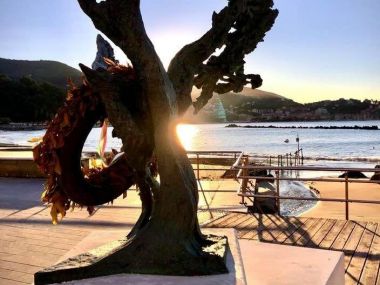 Immobili Commerciali