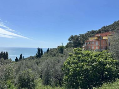 La Casa del Sorriso - Houses and Villas